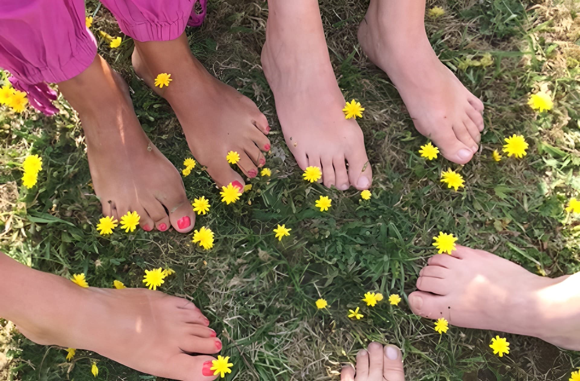 groupe de sophrologie en cercle pieds nus dans l'herbe